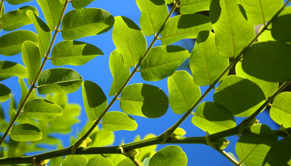 تفاوت ارزش و افکار